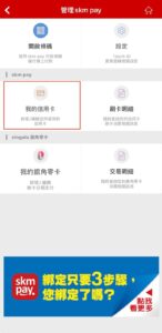 skmpay2 skmpay2